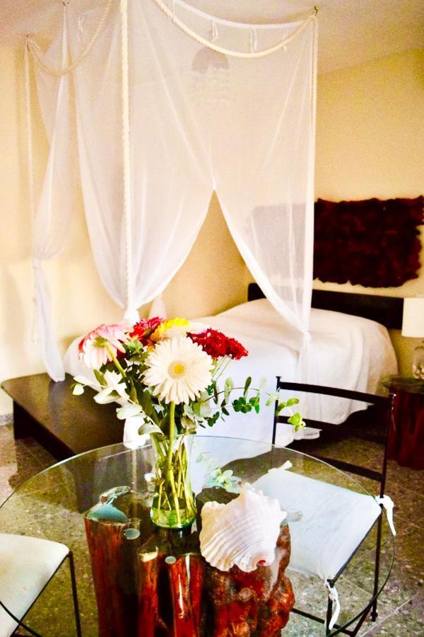 Boutique Hotel Delfin 5Th Avenue Playa del Carmen Esterno foto