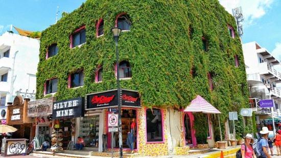 Boutique Hotel Delfin 5Th Avenue Playa del Carmen Esterno foto