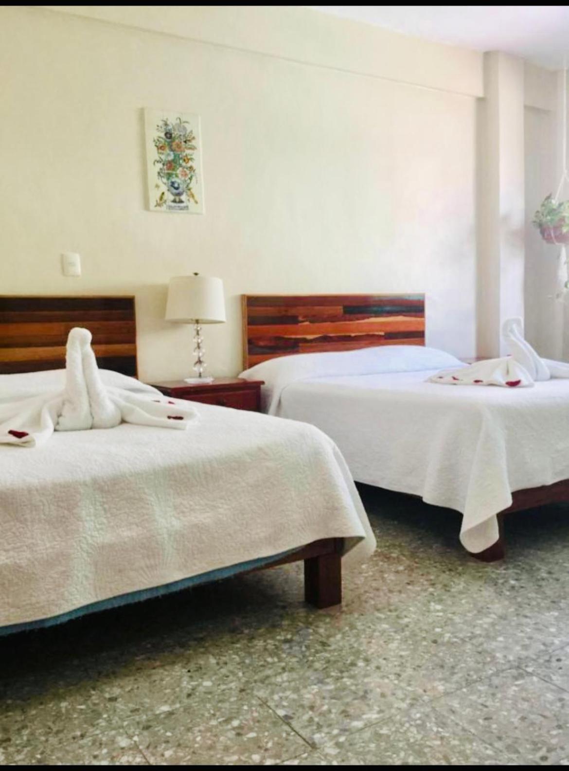 Boutique Hotel Delfin 5Th Avenue Playa del Carmen Esterno foto
