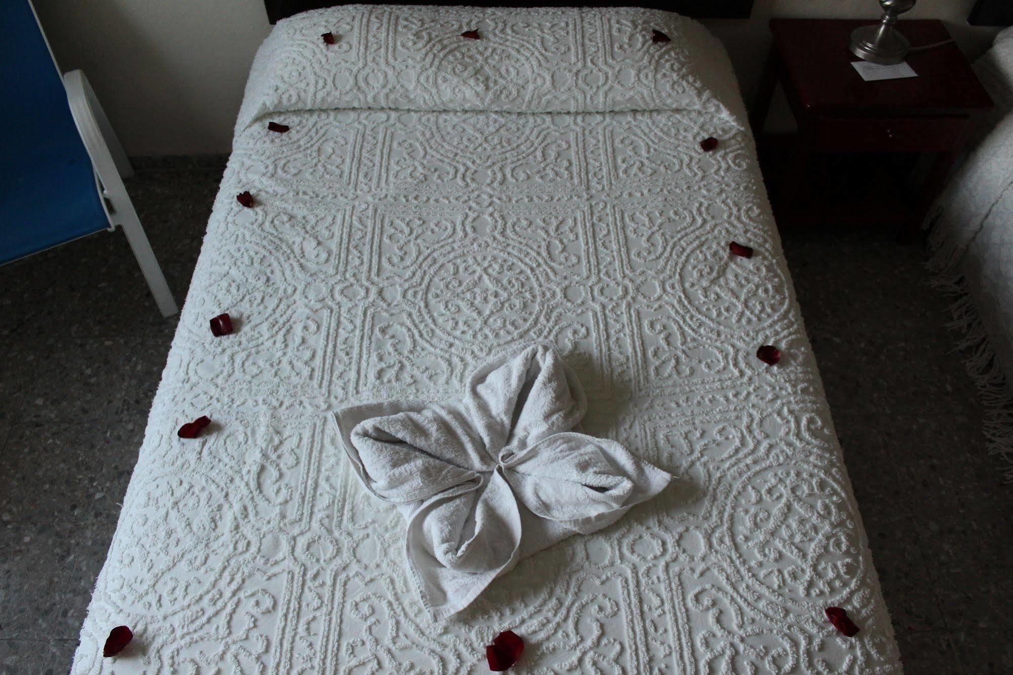 Boutique Hotel Delfin 5Th Avenue Playa del Carmen Esterno foto